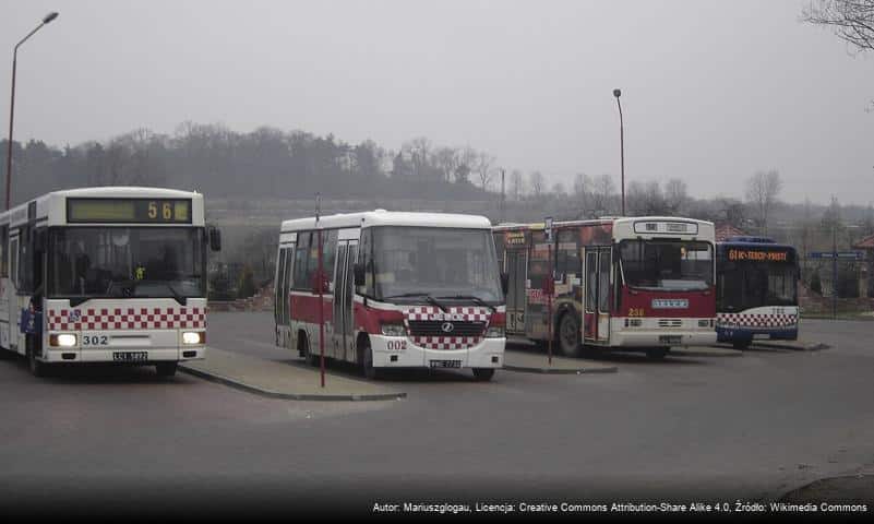 Komunikacja Miejska w Głogowie