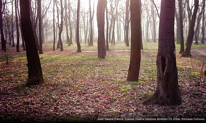 Park Leśny w Głogowie